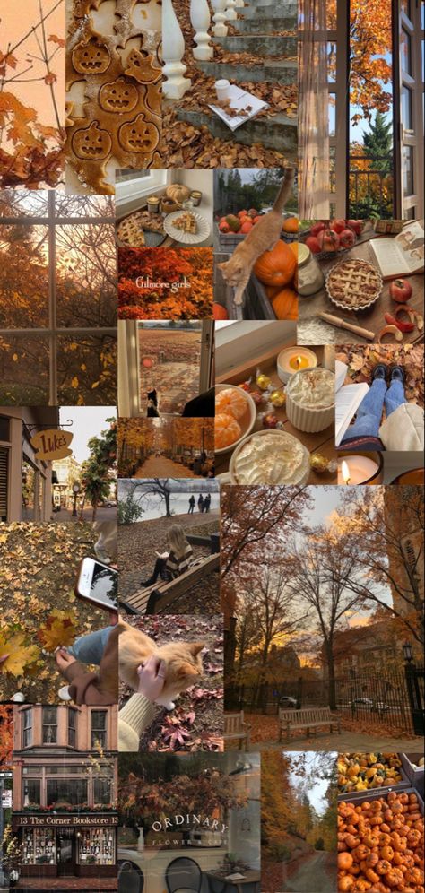 Fall background collage aesthetic, Gilmore girls, cozy fall, orange, neutral colors, october, november aesthetics, fall baking pumpkins, autumn Fall Lockscreen Aesthetic Collage, October Aesthetic Collage, Fall Collages Wallpaper, November Aesthetic Wallpaper Collage, Autumn Wallpaper September, Fall Wallpapers Collage, Fall Wallpaper 2023, Fall Iphone Wallpaper Collage, Fall Wallpapers Collages