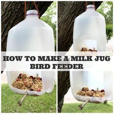 This Milk Jug Bird Feeder is so easy to make and it will be a favorite outdoor item for the bird lovers in our home. A great kid's craft. Milk Jug Bird Feeder, Jug Bird Feeder, Bird Feeders Diy Kids, Milk Carton Bird Feeder, Bird Feeders Diy, Bird Feeders For Kids To Make, Milk Jug Crafts, Make A Bird Feeder, Bird Feeder Craft