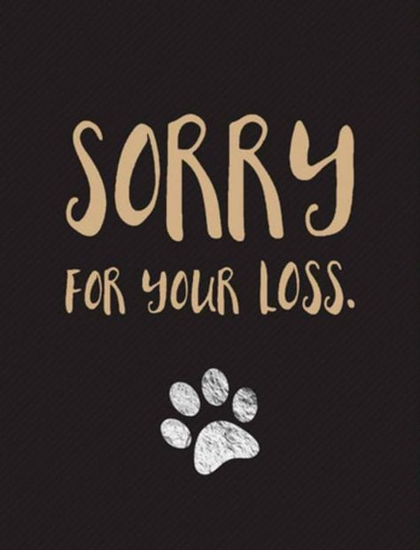 Sorry For The Loss Of Your Dog, Sorry For Your Loss Dog, Goodbye Dog Pet Loss, Yorkie Memorial, I Miss My Dog Pet Loss, Pet Sympathy Quotes, Quotes For Pets That Have Died, Puppy Heaven, Pet Condolences