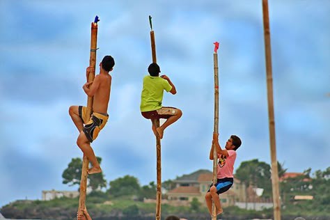 Palosebo played in fiestas. Greased polished bamboo poles  are set upright, a small bag containing the prize is tied at the end of every pole. It usually contains money or toys. The contestants try to climb the poles to secure the prizes. Sometimes, a small flag is used instead of the actual prize. The actual prize will be given to the winner afterwards. Anyone who fails to reach the top is disqualified. The winner is the one who succeeds in reaching and untying the prize. Filipino Games, Philippine History, Street Game, Philippines Culture, Retro Painting, Bamboo Poles, Small Flags, Filipino Culture, Blackpink Memes