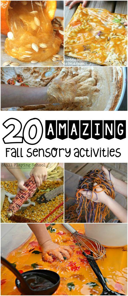 20 Fall Sensory Play Activities- such a fun way to learn and play! Tubs Ideas, Sensory Tubs, Diy Montessori, Sensory Integration, Sensory Table, Activities For Toddlers, Kids Sensory, Play Ideas, Toddler Fun