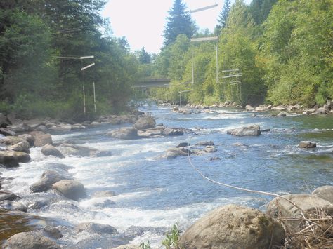 Cedar River... Maple Valley, Washington.  I remember travel on the road from Renton to Enumclaw and this river running beside the road.  It was so pretty. Maple Valley Washington, 12th Man Seahawks, Belfast Northern Ireland, Best Places To Live, Washington State, The Valley, On The Road, So Pretty, Destiny