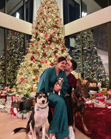 Hollywood Divas, Bindi Irwin, Gift Drawing, Family Christmas Cards, Beautiful Notes, Entertainment Tonight, Hyun Bin, Merry Christmas Everyone, Christmas Wonderland