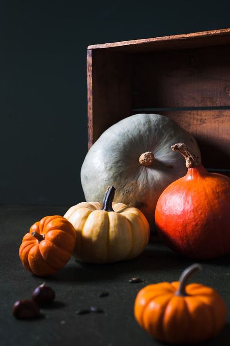 Pumpkin Photography Ideas, Pumpkin Still Life Photography, Fall Still Life, Pumpkin Photography, Dark Food Photography, Still Life Pictures, Theme Nature, Still Life Photos, Mood And Tone