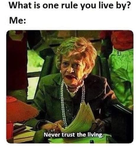 Never Trust The Living, Halloween Memes, Never Trust, Beetlejuice, Bones Funny, Memes Quotes, Dankest Memes, Make Me Smile, Really Funny