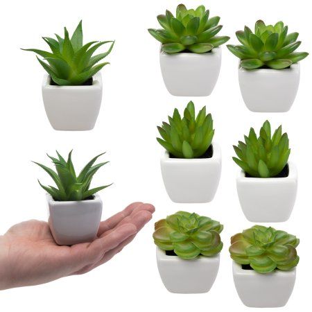 Set Of 8 Small Green Succulent Artificial House Plants Ceramic Pots Home Office - Walmart.com Artificial House Plants, Grass Texture, Artificial Plant Arrangements, Artificial Plants Decor, Artificial Plants Indoor, Artificial Plant Wall, Fake Plants Decor, Artificial Plants And Trees, Fake Succulents