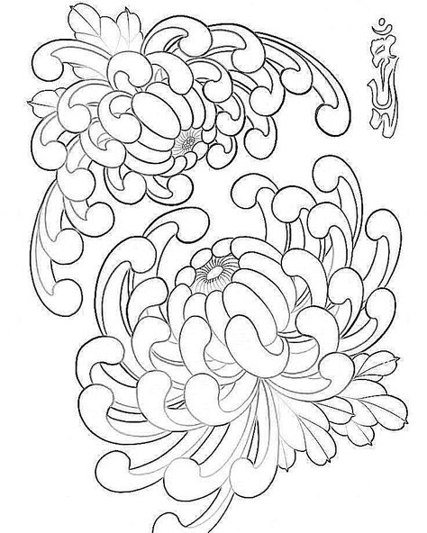 Tattoo Japanese Flower, Japanese Chrysanthemum Drawing, Japanese Flowers Tattoo Design, Japanese Chrysanthemum Tattoo Design, Japan Flower Tattoo, Flower Japanese Tattoo, Japanese Flower Tattoo Design, Flower Tattoo Stencil, Crisantemo Tattoo