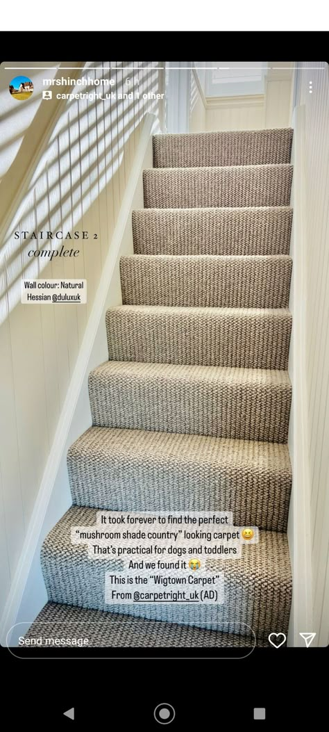 Best Carpet For Stairs, Stairs And Hallway Ideas, Stairway Carpet, Carpet Staircase, Stairs Landing, Basement Carpet, Stairs Design Interior, House Staircase, Hallway Inspiration