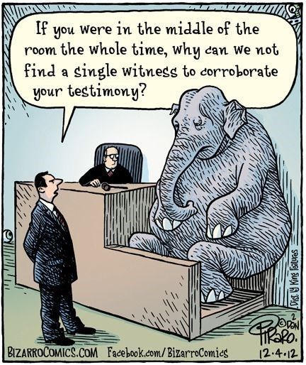 13 Hilarious Elephant Memes - I Can Has Cheezburger? Law Humor, Bizarro Comic, Legal Humor, Lawyer Jokes, Lawyer Humor, Therapy Humor, Elephant In The Room, Far Side, Twisted Humor