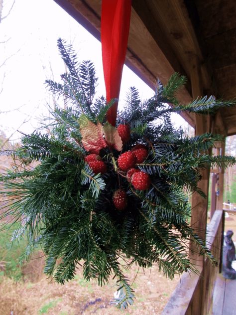 How To Make A Christmas Kissing Ball | Blind Pig and The Acorn Christmas Boughs, Cedar Boughs, Mistletoe Ball, Potato Filling, Garden Winter, Kissing Balls, Kissing Ball, Gingerbread Christmas Decor, Winter Porch