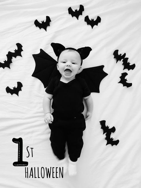 Baby bat 1st Halloween Baby Bat Photoshoot, Halloween Monthly Milestone, Halloween Photo Shoot Baby, Halloween Baby Photoshoot Ideas, Newborn Halloween Photoshoot, Cats In Halloween Costumes, Halloween Baby Pictures, Halloween Baby Photos, Diy Newborn Photography