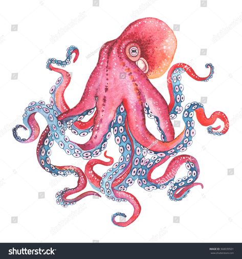 Octopus Art Project, Octopus Mural, Octopus Art Drawing, Octopus Watercolor Painting, Octopus Colors, Underwater Drawing, Kraken Art, Octopus Illustration, Sea Life Art