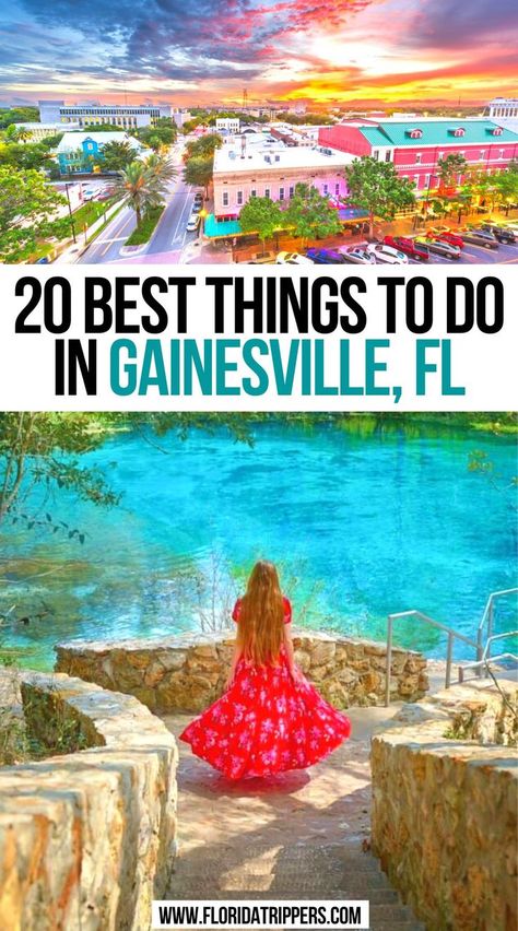 20 Best Things To Do In Gainesville, FL Florida Itinerary, Best Places In Florida, Florida Parks, Florida Adventures, Florida Food, Florida Destinations, Florida Springs, Places In Florida, Gainesville Florida