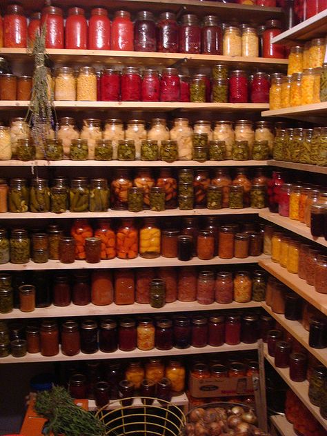 look at that pantry with those beautiful shelves. i really need to find someone to make those Deep Pantry, Dream Pantry, Canned Food Storage, Root Cellar, Dry Food Storage, Canned Fruit, Home Canning, Pantry Design, Pantry Storage