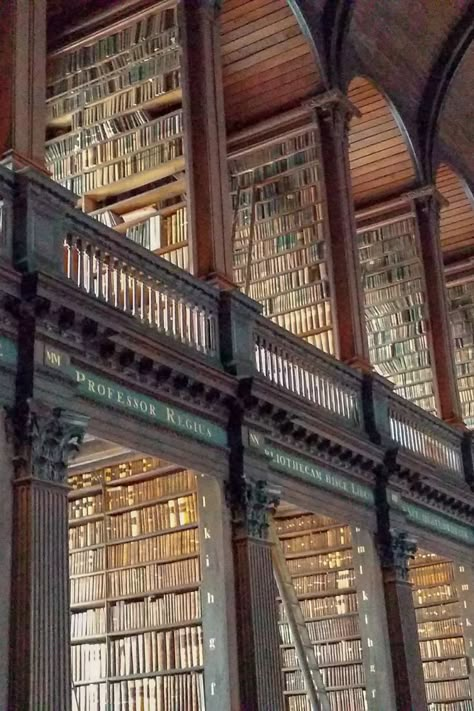 The great library in Edinburgh! We love to read :) #travelinspiration #edinburgh Glasgow University Library, Edinburgh University Library, University Of Glasgow Library, Edinburgh University Student Aesthetic, University Of Edinburgh Aesthetic, Edinburgh University Aesthetic, Dunbridge Academy Anywhere, Edinburgh Library, Bird Messenger