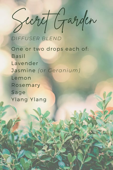 Basil Diffuser Blend, Jasmine Diffuser Blend, Goddess Essential Oil Blend, Sage Essential Oil Blends, Rosemary Essential Oil Blends, Sage Diffuser Blends, Lavender Diffuser Blends, Jasmine Essential Oil Blends, Essential Oil Perfume Blends