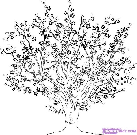 Blossom Tree Drawing, Cherry Blossom Tree Drawing, Trees Drawing Tutorial, Super Coloring Pages, Hand Embroidery Patterns Free, Tree Coloring Page, Detailed Coloring Pages, Embroidery Template, Diy Embroidery Patterns