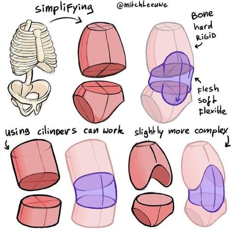 Stylized Anatomy, Studying Anatomy, Mitch Leeuwe, Drawing Resources, Drawing Anatomy, Human Body Drawing, Body Tutorial, Anatomy Tutorial, Human Anatomy Drawing