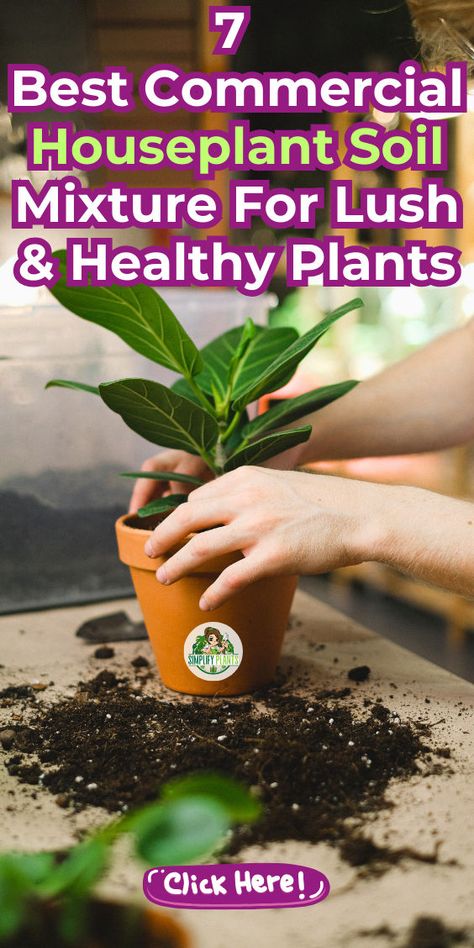 "Discover the 7 best commercial houseplant soil mixtures to achieve lush, thriving plants! Our curated list features top-quality soils designed for optimal drainage, aeration, and nutrient retention. Perfect for indoor gardening enthusiasts, these premium blends support healthy growth for a variety of houseplants. Elevate your plant care routine and create a vibrant indoor oasis with the right soil mix. Explore now for lush greenery and thriving plants!" Best Soil For Indoor Plants, Soil Mixture, Plants Care, Best Indoor Plants, Houseplants Indoor, Best Commercials, Potting Soil, Healthy Plants, Pest Control