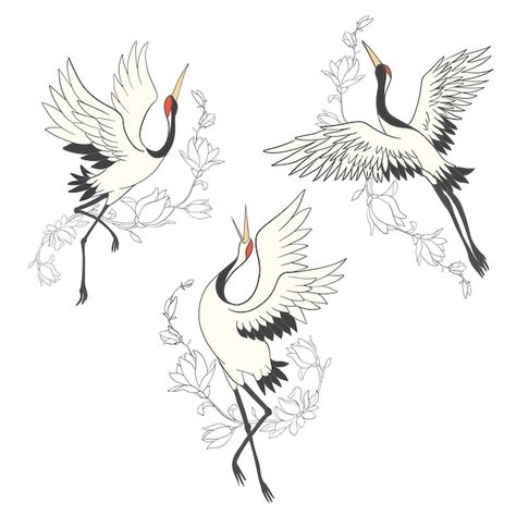 Premium Vector | Set of birds. crane, stork, heron. White Stork Tattoo, Stork Drawing, Heron Illustration, Tattoo Crane, Crane Drawing, Wings Bird, Crane Tattoo, Drawing Bird, Feet Drawing