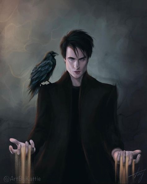 Dream Endless, Morpheus Sandman, Sandman Neil Gaiman, Tom Sturridge, The Sandman, Digital Portraits, Raven Art, Arte Dc Comics, Favourite Characters