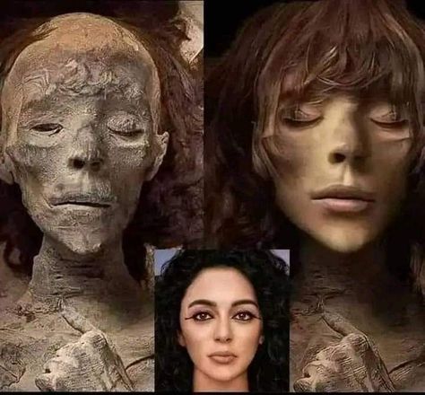 Archaeo - Histories on Twitter: "Face reconstruction of Queen Tiye (d. 1338 BC), mother of Akhenaten and grandmother of Tutankhamun, based on her Mummy at The National Museum of Egyptian Civilization in Cairo. #archaeohistories https://t.co/fHK9Gq6VM8" / Twitter Amenhotep Iii, Egyptian Mummies, Egyptian Queen, Archaeological Discoveries, Egyptian Pharaohs, Valley Of The Kings, High Priest, Tutankhamun, Ancient Knowledge