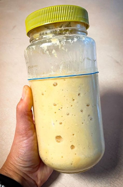 Lupin Flour Sourdough Starter - Keto, Low-Carb, Vegan Low Carb Dough, Low Carb Sourdough Starter, Keto Sourdough Starter Recipe, Low Fermentation Diet Recipe, Lupine Flour Recipes, Low Carb Sourdough, Keto Sourdough Bread Starter, Keto Sourdough Starter, Keto Sourdough