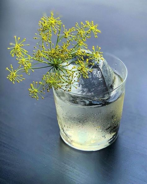 London’s Cocktails 🍸 on Instagram: “What’s The Big Dill ✨Friday inspiration ✨ from @jamespark0518 over in 🇨🇦   A floral, low ABV serve inspired by a nearby garden made with…” Cocktails Presentation, Herbal Cocktails, Botanical Cocktails, 7 Course Meal, Cocktails Aesthetic, Garden Cocktail, Peacock Garden, Friday Inspiration, Big Dill