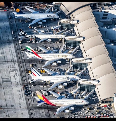 Wallpaper of airplane arial view Emirates, France air, lufthansa, dubai, frankfurt Airport Airplane, The Intruder, Plane Photography, Plane Spotter, Airbus A380, Aviation Photography, Civil Aviation, Private Jet, Whale Watching