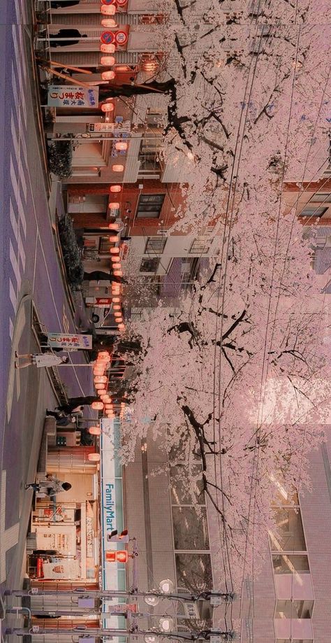 Korean Aesthetic Wallpaper For Laptop, Japan Laptop Wallpaper Aesthetic, Japan Horizontal Wallpaper, Horizontal Images Aesthetic, Cherry Blossom Wallpaper Laptop, Korean Wallpaper Aesthetic Laptop, Cherry Blossom Laptop Wallpaper, Desktop Wallpaper Horizontal, Sakura Background Aesthetic