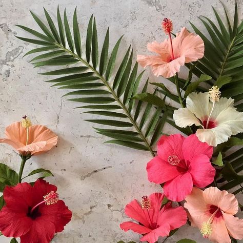 Tropical Flowers Photography, Blatt Tattoos, Beach Wedding Coral, Hawaii Flowers, Flower Paper, Hawaiian Flowers, Beach Theme Wedding, Jolie Photo, Hibiscus Flowers