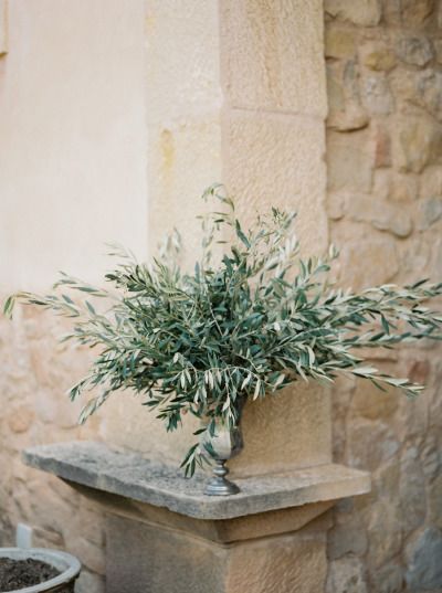 Greenery: http://www.stylemepretty.com/little-black-book-blog/2015/02/05/organic-al-fresco-mediterranean-wedding-inspiration/ | Photography: Mireia Cordomi - http://www.mireiacordomi.com/ Olive Tree Wedding, Olive Branch Wedding, Olive Wedding, Rustic Photography, Deco Champetre, Mediterranean Wedding, Church Wedding Decorations, 2025 Wedding, Inspiration Photography