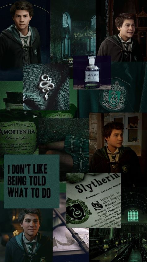 <3 Hogwarts Legacy Sebastian Wallpaper, Sebastian Sallow Wallpapers, Sebastian Sallow Aesthetic, Hogwarts Legacy Wallpaper, Sebastian Sallow X Y/n, Hogwarts Legacy Sebastian, Sebastian Sallow, Harry Potter Oc, Best Friend Wallpaper