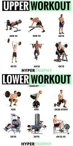 Lower Workout, Workout Split, Fitness Studio Training, Bolesti Chrbta, Gym Antrenmanları, Full Body Workout Routine, Workout Splits, Gym Workout Chart, Muscle Building Workouts