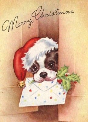 Vintage White Christmas, Boston Terrier Pug, Boston Terrier Christmas, Boston Terrier Art, Christmas Mail, Vintage Christmas Greeting Cards, Dog Greeting Cards, Boston Terrier Love, Christmas Card Art