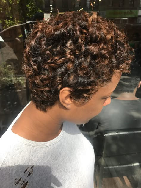 Honey Highlights Twa Highlights Black Women, Twa With Highlights, Natural Hair With Highlights, Layered Bob Haircut, Pixie Cut With Highlights, Honey Highlights, Short Natural Curly Hair, Dyed Curly Hair, Tapered Natural Hair