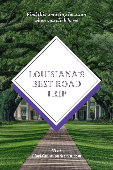 Louisiana is a fantastic state for a road trip and Great River Road is an awesome road trip. Put them together and you get the best road trip in Louisiana! From bayous to the Big Easy, its all there! #onlylouisiana #louisianaroadtrip #neworleans #batonrouge #oakalleyplantation #mississippiriver #greatriverroad Louisiana Road Trip, Great River Road, Southern Road Trips, Louisiana Travel, The Big Easy, Florida Man, River Road, Great River, Big Easy