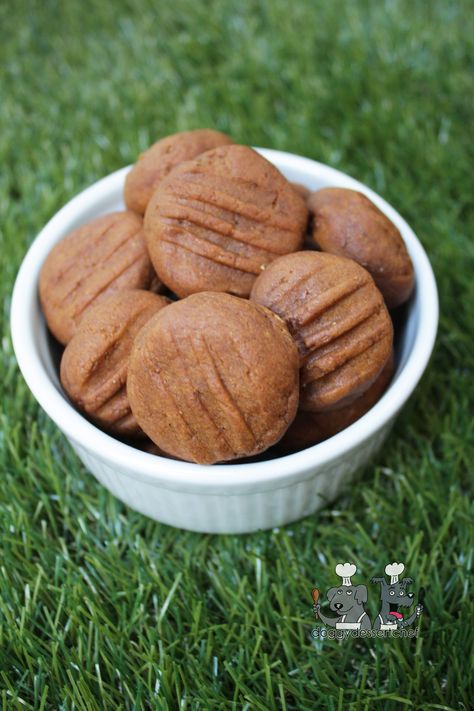 ginger molasses - Doggy Dessert Chef Molasses Dog Treats, Gingerbread Dog Treats, Dog Treats With Beef Broth, Gingerbread Dog Treats Recipe, Chewy Ginger Molasses Cookies Gimme Some Oven, Dessert Chef, Dog Treat Recipe, Ginger Molasses, Cinnamon Milk