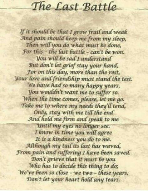 Losing A Pet Quotes, Dog Heaven Quotes, Pet Poems, Animal Lover Quotes, The Last Battle, Miss My Dog, Dog Poems, Last Battle, Dog Heaven