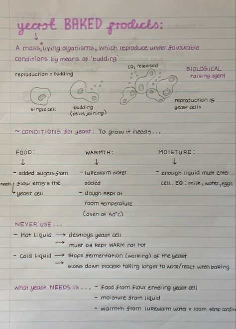 Food Tech Gcse Revision Notes, Food Tech Revision Notes, Food Science Aesthetic, Easy Aesthetic Notes, Neat Notes Aesthetic, Gcse Food Tech, Note Taking Hacks, Homework Notes, Aesthetic School Notes