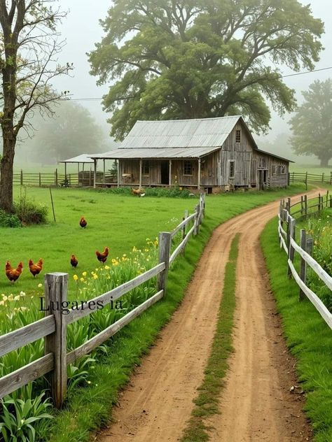 Farm Pictures Aesthetic, Country Scenery, Wooden Fences, Farm Paintings, Rural America, Rural Living, Silhouette Painting, Tall Trees, Digital Landscape