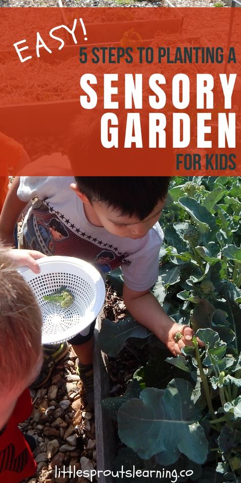 Sensory Garden For Kids, Montessori Playground, School Greenhouse, Garden For Kids, Campground Ideas, Horticultural Therapy, Horticulture Therapy, Therapeutic Riding, Sound Garden