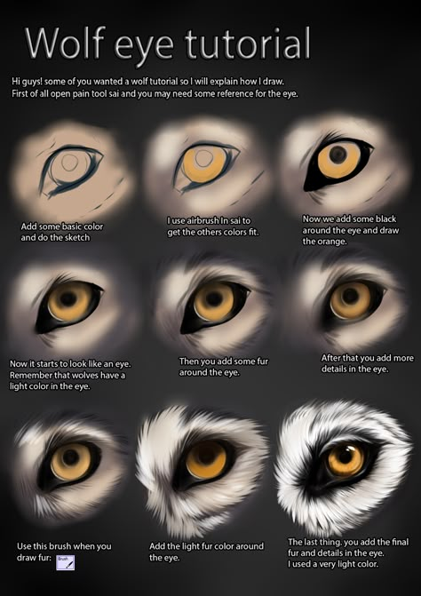 Wolf Eye Drawing, Wolf Makeup, Eyes Tutorial, Wolf Sketch, Realistic Eye Drawing, Wolf Eyes, Wolf Painting, Wolf Face, Drawing Eyes