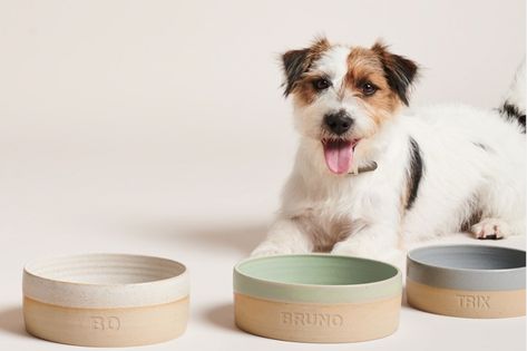 From chic stoneware to trendy terracotta, these stylish ceramic dog bowls are sure to bowl you and your pup over! Find the best ceramic dog bowls here. Cute Dog Bowls, Dog Trends, Dog Bowl Mat, Dog Accesories, Raised Dog Bowls, Living With Dogs, Pottery Lessons, Ceramic Dog Bowl, Puppy Bowls