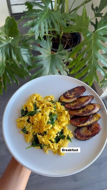 Caloric Surplus, Recipes Healthy Breakfast, Protein Rich Diet, Buttocks Workout, Muscle Growth, Healthy Snacks Recipes, Clean Recipes, Slim Waist, Build Muscle