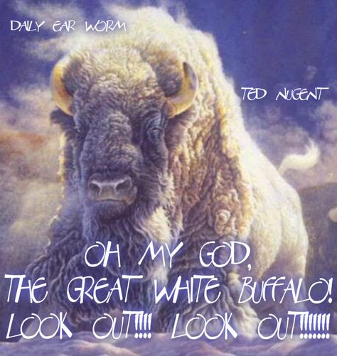 Great White Buffalo - Ted Nugent Buffalo Pictures, Buffalo Animal, Bison Art, Buffalo Art, Regnul Animal, Buffalo Bison, Native American Wisdom, Native American Images, Animal Spirit Guides