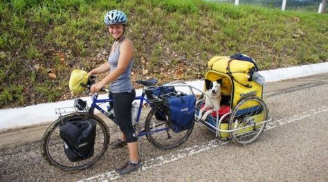 Dog Trailer For Bike, Dog Bike Trailer, Three Wheel Bicycle, Bicycle Trailers, Dog Trailer, Biking With Dog, Bicycle Travel, Bicycle Trailer, Bike Camping