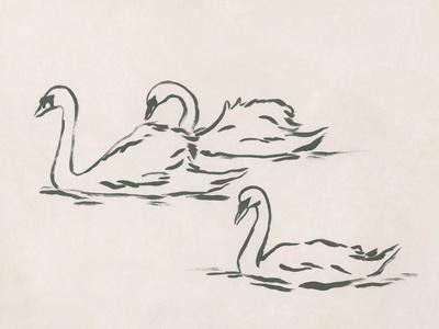 Swan Sketch, Swan Drawing, Swan Tattoo, Pen Sketches, Swan Painting, Swans Art, Dorm Art, Black Framed Wall Art, Black And White Drawing