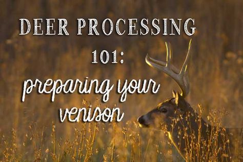 Deer Butchering, Deer Processing, Venison Meat, Roast Chicken And Gravy, Deer Hunting Tips, Pioneer Life, Survival Ideas, Deer Meat Recipes, Deer Meat