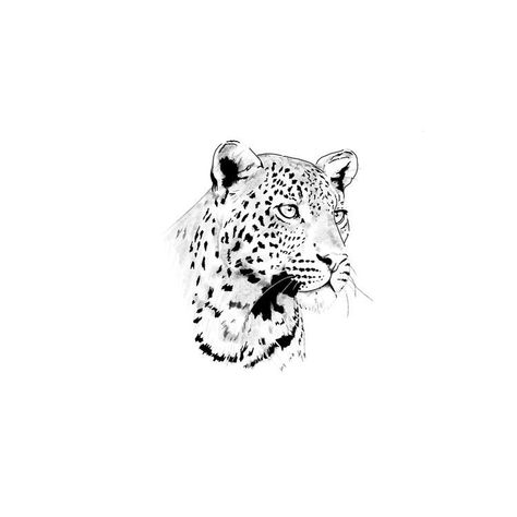 Jaguar Head Tattoo, Leopard Head Tattoo, Cute Tattoo Ideas, Cute Owl Tattoo, Crazy Tattoos, Leopard Tattoos, Magic Runes, Leopard Painting, Painting Logo